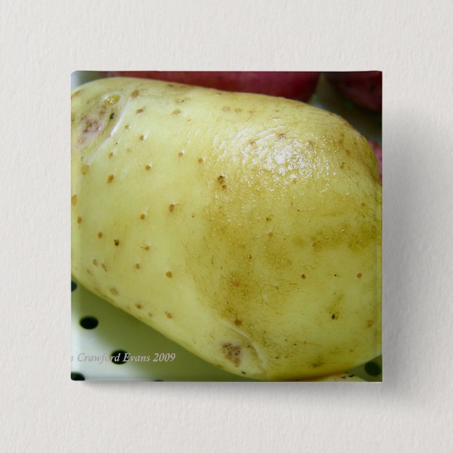 Yukon Gold potato 15 Cm Square Badge (Front)