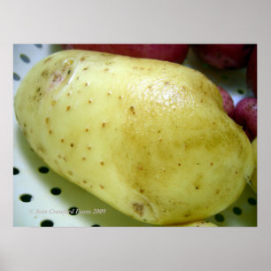 Yukon Gold potato Poster
