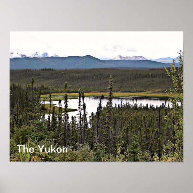 Yukon Pond Poster (Front)