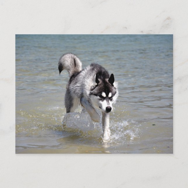 YukonWasser Postcard (Front)