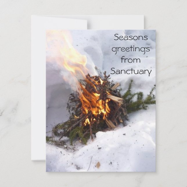 Yule Christmas Greeting Card Collection (Front)