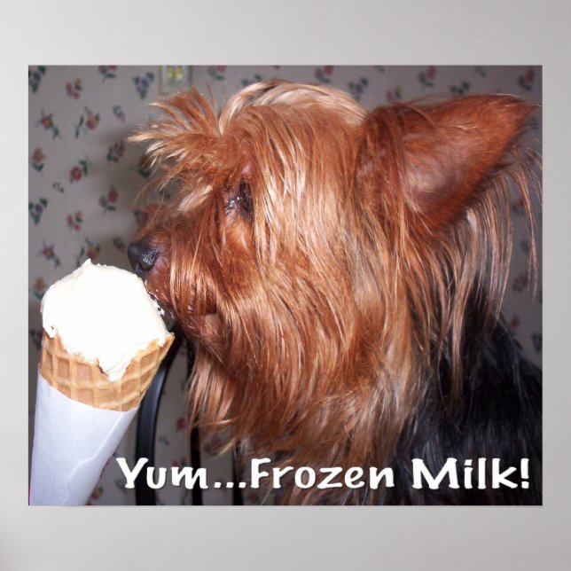 Yum...Frozen Milk! Poster (Front)