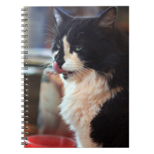 Yum! Tasty Kitty Treats! Notebook