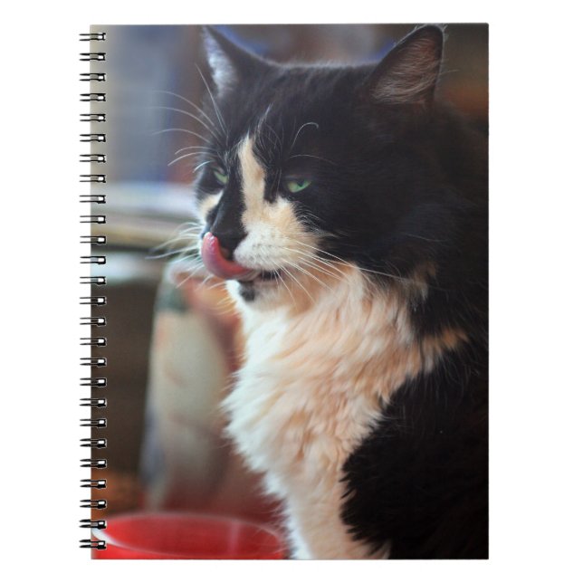 Yum! Tasty Kitty Treats! Notebook (Front)