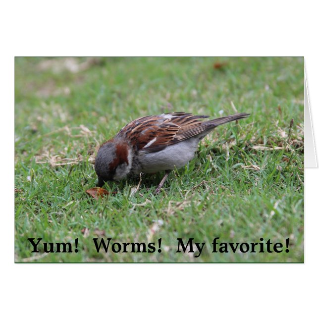 Yum!  Worms! (Front Horizontal)