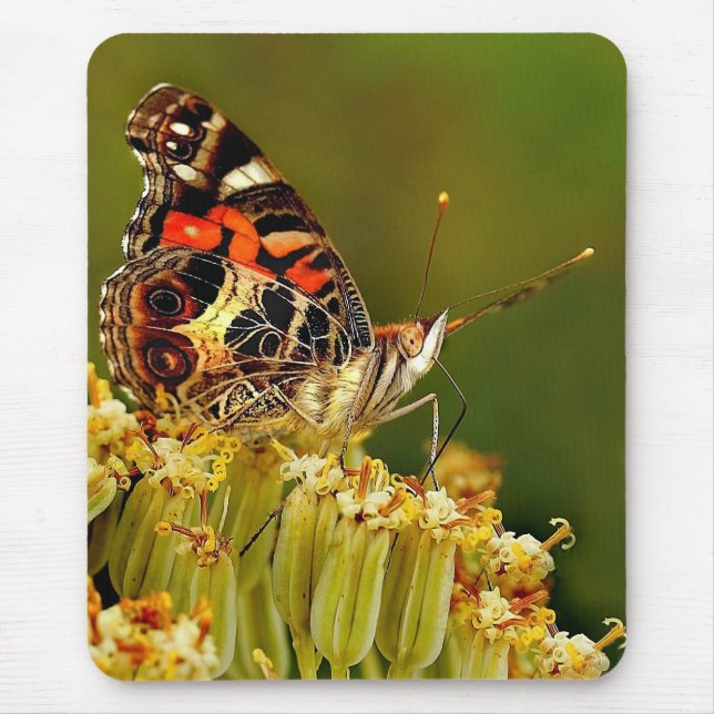 Yummm!!! Mouse Mat (Front)