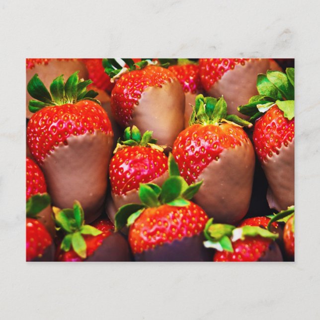 Yummy Chocolate-Coated Strawberries Postcard (Front)