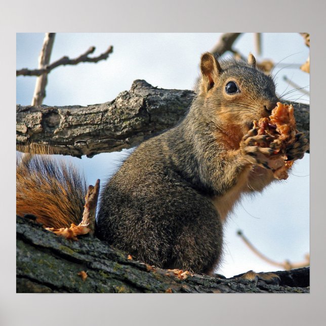 Yummy in my tummy poster (Front)