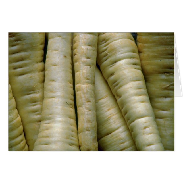 Yummy Parsnips (Front Horizontal)