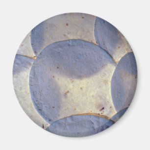 Yummy Tortilla shells Magnet