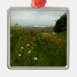 Yurok Loop Trail at Redwood National Park Metal Tree Decoration