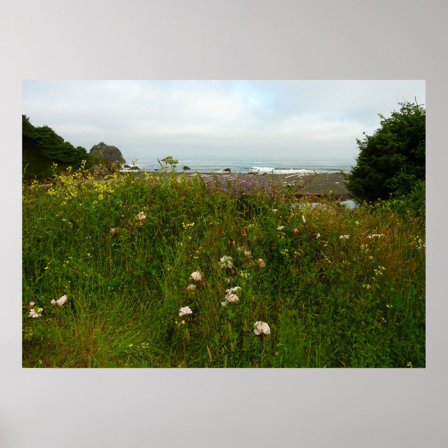 Yurok Loop Trail at Redwood National Park Poster (Front)
