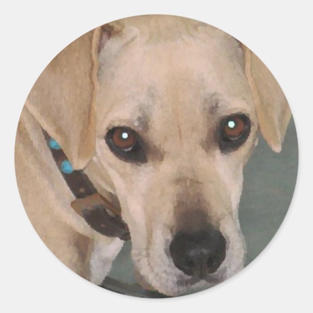 YY- Cute pup stickers (Front)