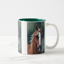 Z Arabian horse portrait