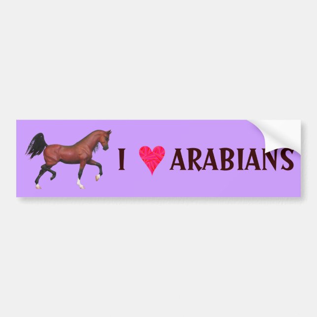 Z I Love Arabians Horse Lover Art Bumper Sticker (Front)