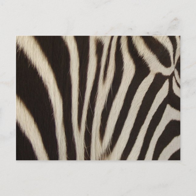 Z Stripes Postcard (Front)