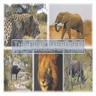 ZA * SOUTH AFRICA -  THE BIG 5 in KRUGER N. P.