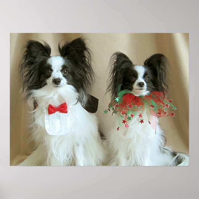 ZACH nab CLAIRE Poster (Front)