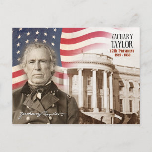 Zachary Taylor - 12th President of the U.S. Postcard