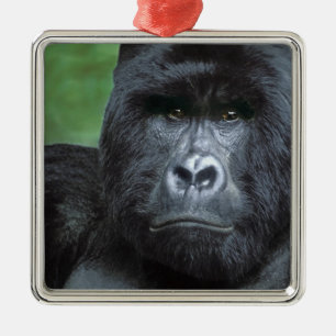 Zaire, Virungas National Park. Portrait of Metal Tree Decoration