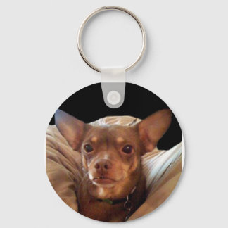 Zak Key Ring