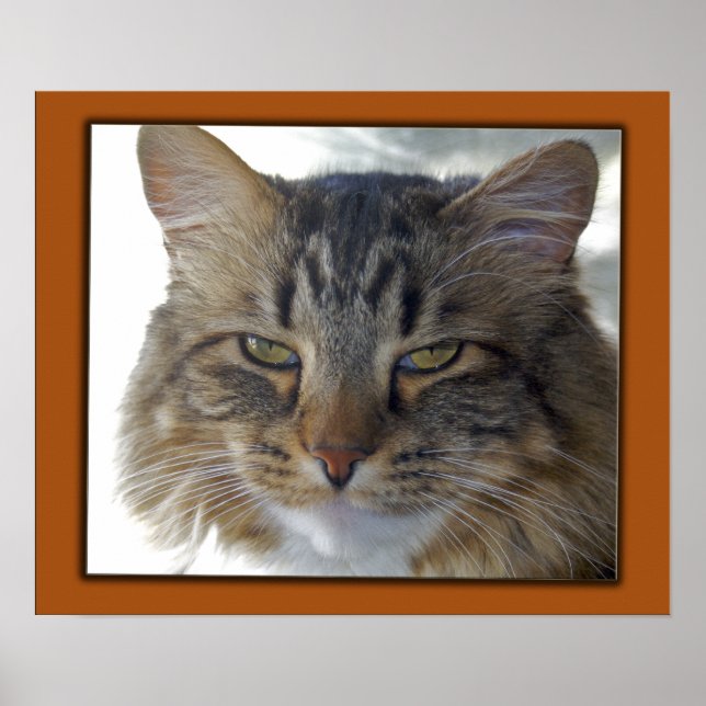 Zak's Pic Poster (Front)