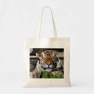 Zambar Tiger Bag