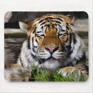 Zambar Tiger Mousemat