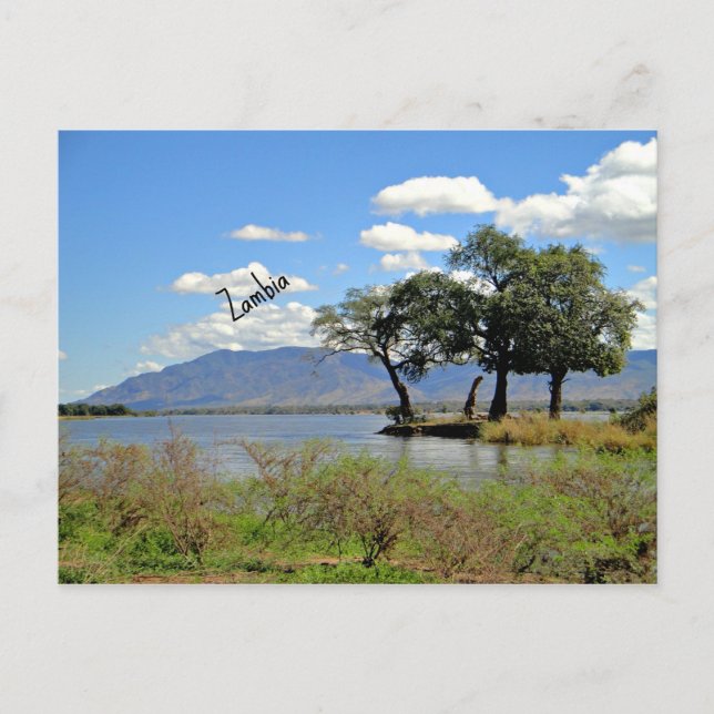 Zambia landscape postcard (Front)