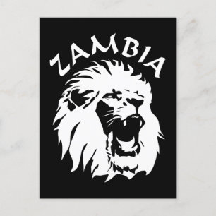 Zambia Lion Postcard