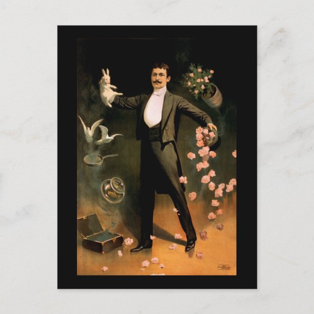 Zan Zig performing with rabbits and roses Postcard (Front)