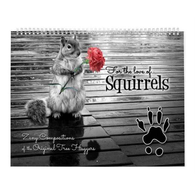 Zany Squirrel Lover Wildlife 12 Month Calendar (Cover)