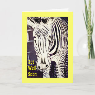 Zany Zebra, Get Well Soon Card