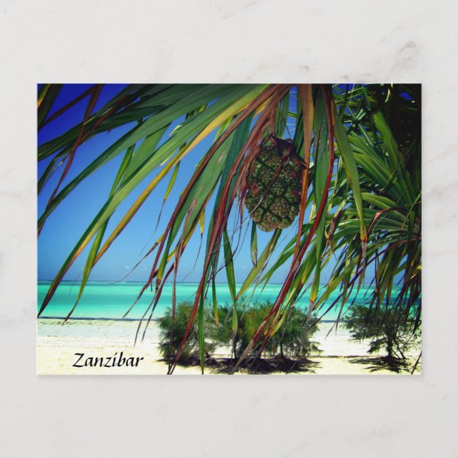 Zanzibar Beach Palm Trees ,  Africa Postcard (Front)