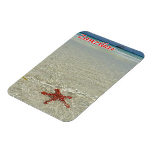 Zanzibar - Sea View - Starfish - Magnet