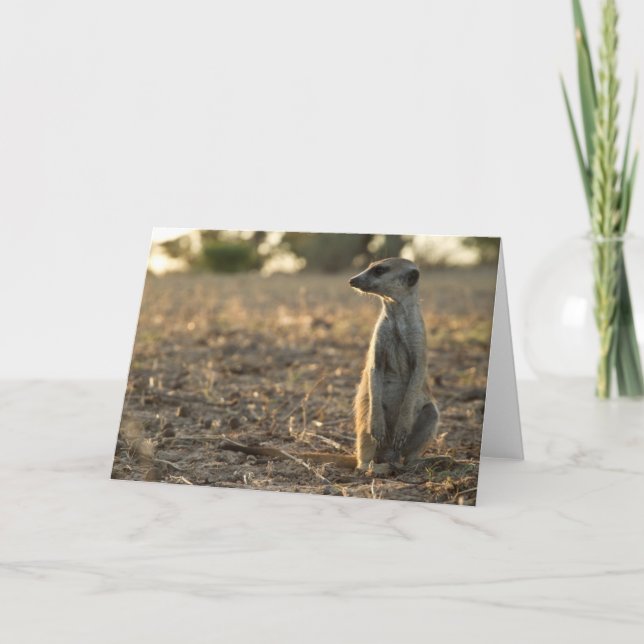 Zaphod 12th Birthday card 1 (Front)