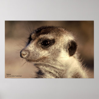 Zaphod Poster - Royal Whiskers Collection