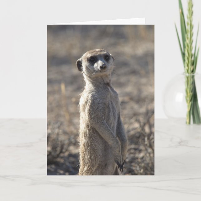 Zaphod's 12th Birthday Card 5 (Front)