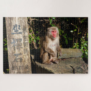 ZaZen Temple Monkey Arashiyama Kyoto Japan Jigsaw Puzzle
