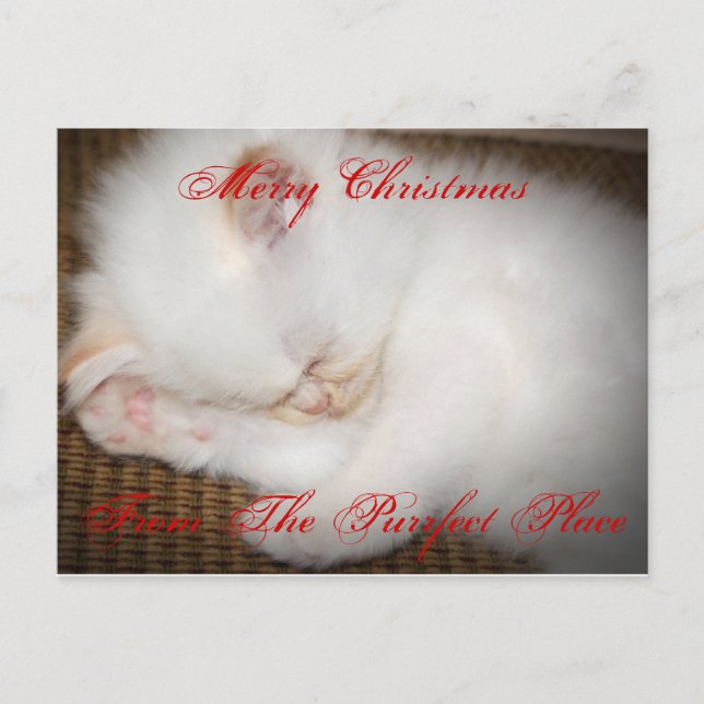 zazzle, Merry ChristmasFrom The Purfect Place Holiday Postcard (Front)