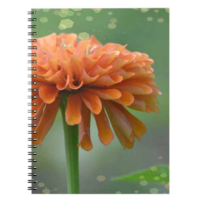 Zazzled Zinnia Notebook (Front)
