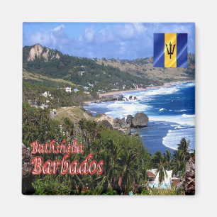 zBB006 BATHSHEBA, Barbados, Aerial view, Fridge Magnet