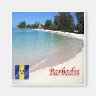 zBB007 BARBADOS The Beach, Sea View, Fridge Magnet