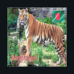 zBD006 The Royal Bengal Tiger, Bangladesh, Asia,  Magnet<br><div class="desc">Here you will find the souvenir of your vacation. This category contains fridge magnets of many locations in Asia. (zBD006 The Royal Bengal Tiger, Bangladesh, Fridge magnet). Amaze friends and relatives with the unique souvenirs from your great trip. Try us. #LeoPepeDesign - asia people's republic of bangladesh, leopepedesign, travel trip...</div>