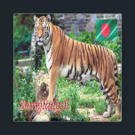 zBD006 The Royal Bengal Tiger, Bangladesh, Asia,  Magnet<br><div class="desc">Here you will find the souvenir of your vacation. This category contains fridge magnets of many locations in Asia. (zBD006 The Royal Bengal Tiger, Bangladesh, Fridge magnet). Amaze friends and relatives with the unique souvenirs from your great trip. Try us. #LeoPepeDesign - asia people's republic of bangladesh, leopepedesign, travel trip...</div>