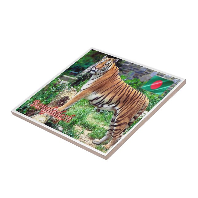 zBD006 The Royal Bengal Tiger, Bangladesh,,  Tile (Side)