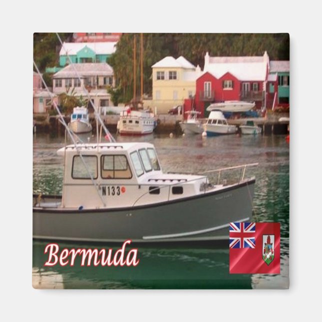 zBM008 BERMUDA, Flatts Village, Panorama, Fridge Magnet (Front)