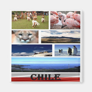 zCL024 CHILE, Mosaic, America, Fridge Magnet