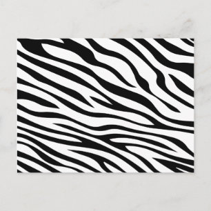 Zebbra Stripes Black and White Postcard