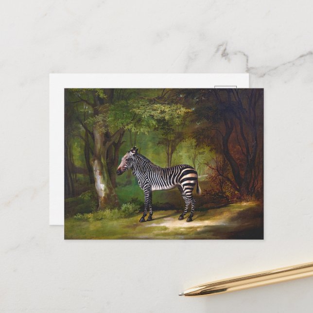 Zebra (1763) painting by George Stubbs  Postcard (Front/Back In Situ)